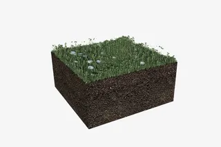 园艺土壤草地植被免抠