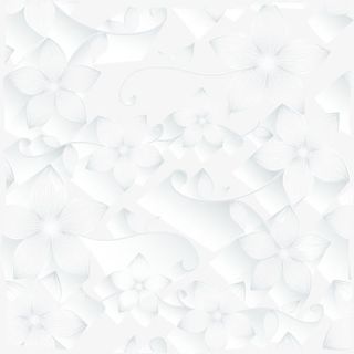 白色清新花朵背景