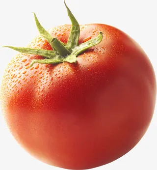 夏日清凉水果节柿子免抠