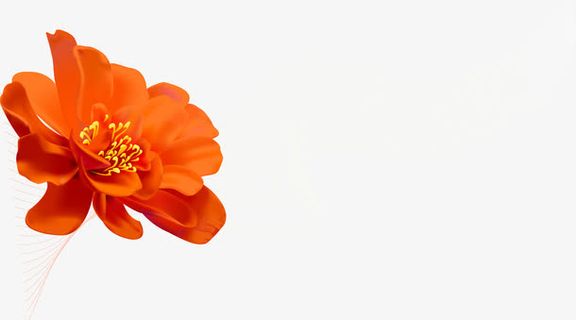 春天唯美花花朵免抠