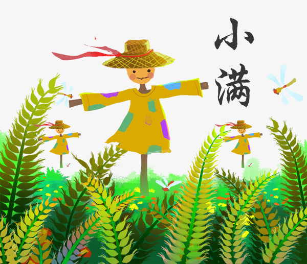 手绘插画装饰插图小满节气稻草人免抠