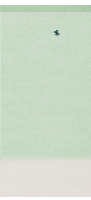 背景 绿色色 春天 蝴蝶高清