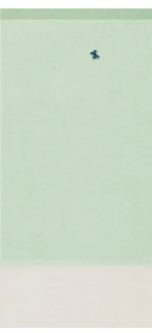 背景 绿色色 春天 蝴蝶高清