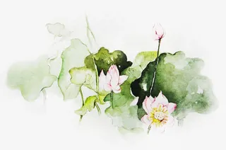 唯美中国古风插画免抠