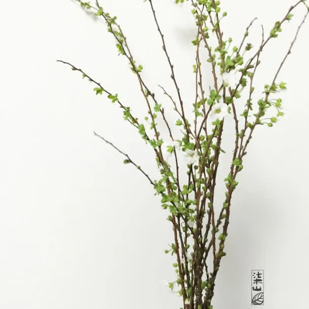 绿色树枝简约壁纸免抠