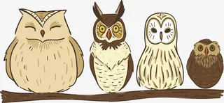 树枝上可爱的猫头鹰免抠