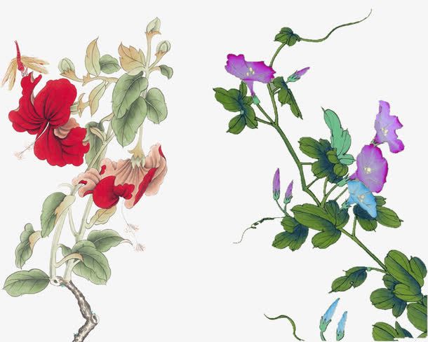中国风花鸟素材免抠