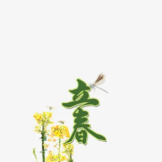 免抠绿色立春艺术字免抠
