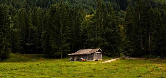 森林草地木屋背景图高清