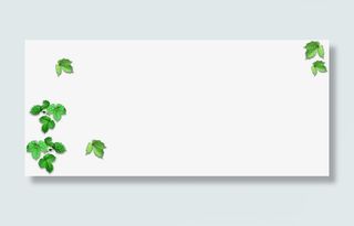 春天高清植物漂浮绿叶免抠