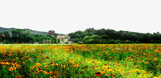 鸭绿江风景免抠