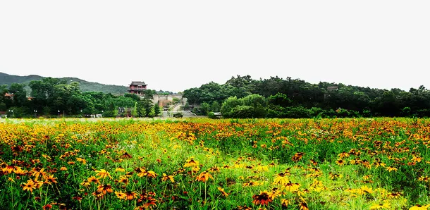 鸭绿江风景免抠