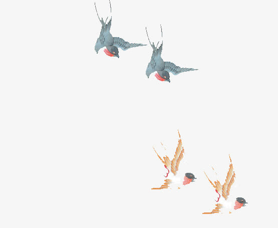 喜鹊免抠