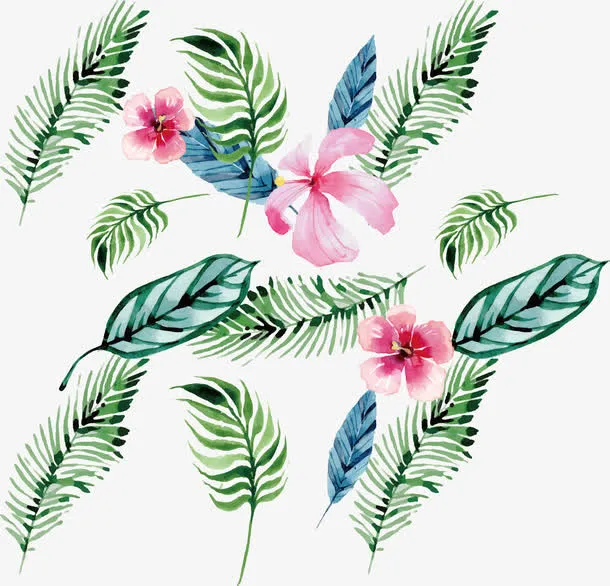 水彩植物花纹免抠