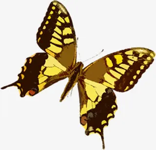 黄色卡通水墨蝴蝶免抠