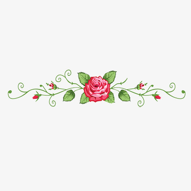 鲜花免抠