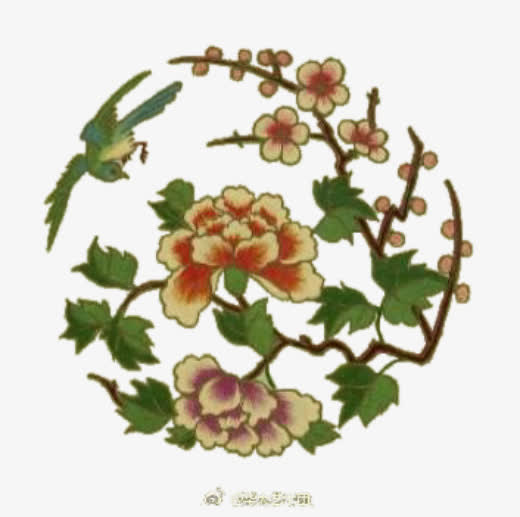 美丽的花免抠
