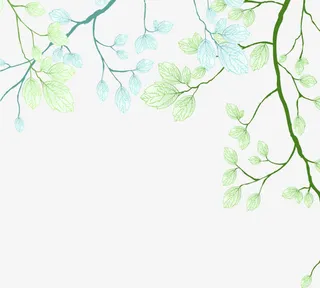 清新树枝矢量图片免抠