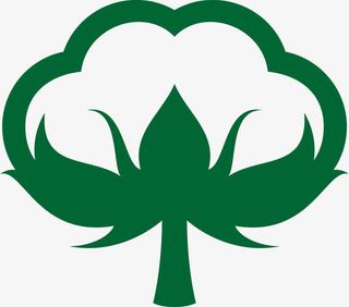 农作物绿色棉花图免抠