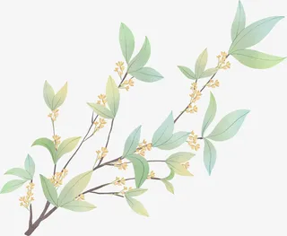 手绘小清新桂花免扣元素免抠