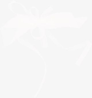 白色蝴蝶结免抠