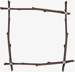 漂亮的树枝免抠素材免抠