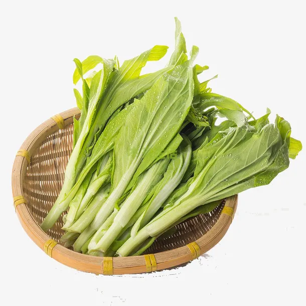 新鲜的白菜苔免抠