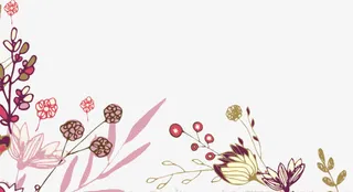 简约花纹素材免抠