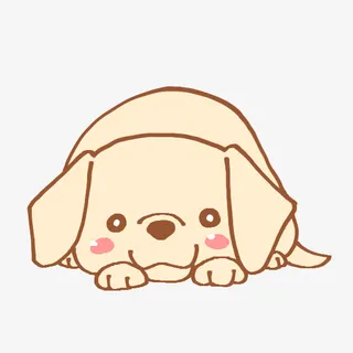 可爱的狗狗4免抠