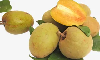 新鲜人心果素材免抠免抠