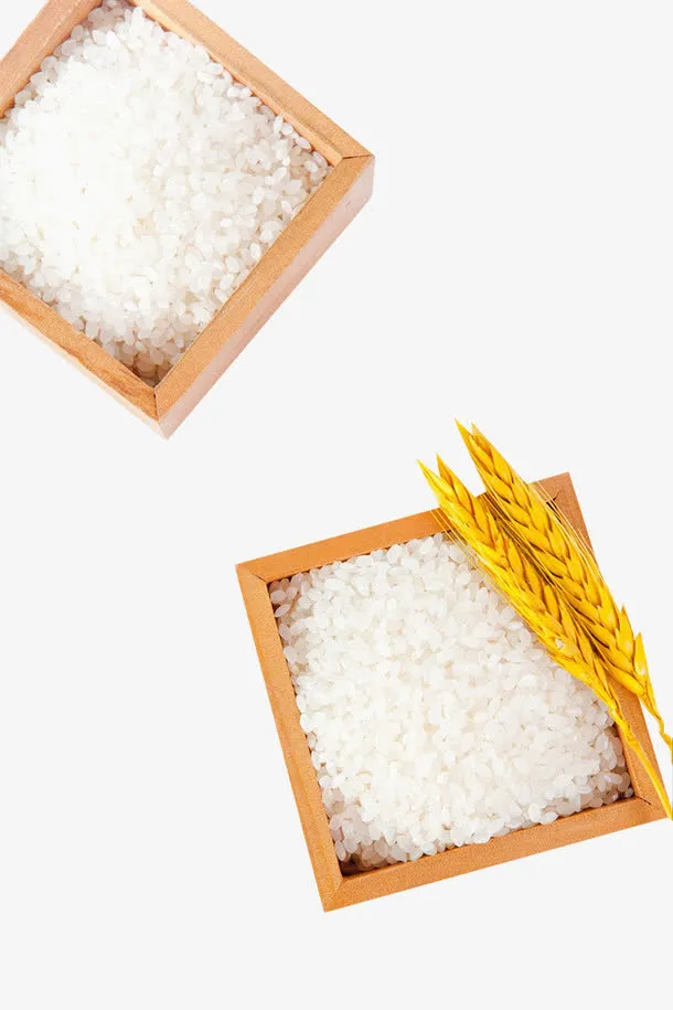 盒子里的大米素材免抠