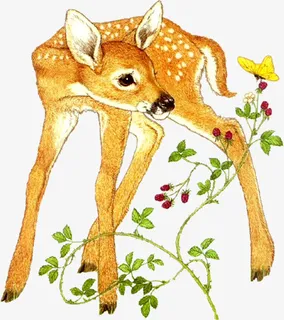 麋鹿写实素材免抠