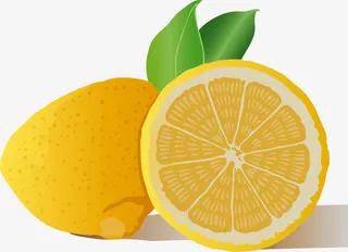 矢量金灿灿的脐橙插图免抠