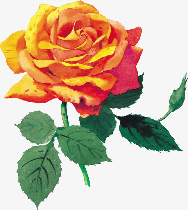 花卉免抠