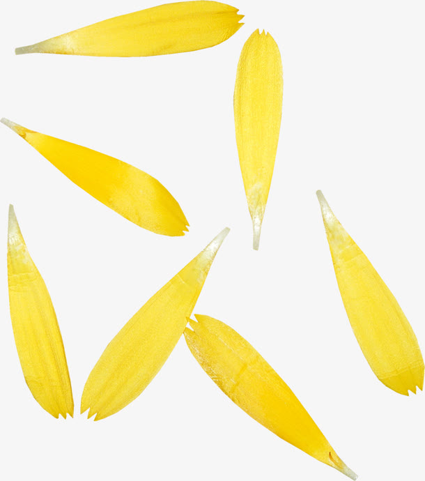 漂浮花瓣免抠
