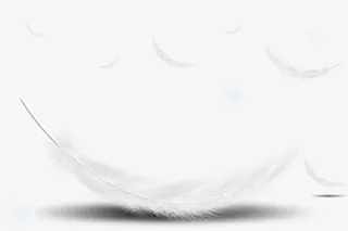 白色阴影羽毛免抠