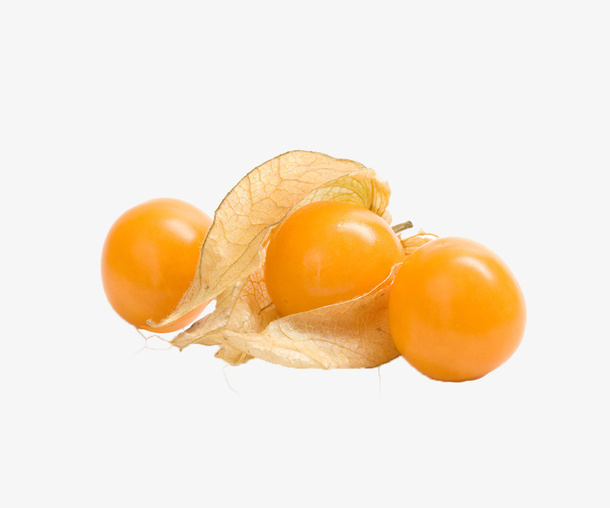 灯笼果免抠