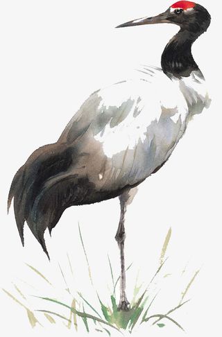 水墨风丹顶鹤免抠