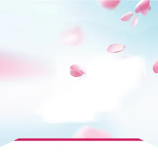 淘宝浪漫花瓣直通车钻展背景高清