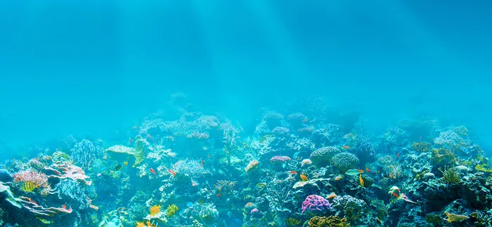 海底背景高清
