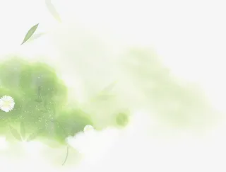 模糊绿叶免抠