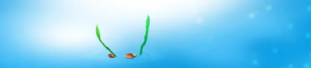 电商护肤品清新背景banner