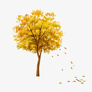 秋季树木免抠