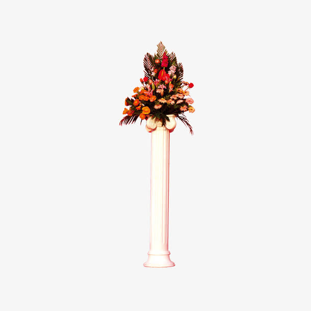 鲜花图片免抠