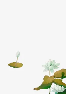 手绘水彩荷花免抠 手绘水彩荷花免抠