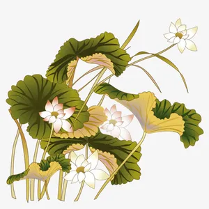 荷叶免抠