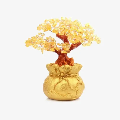 种植金树免抠