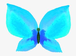 卡通手绘文艺简约蝴蝶动物插画设免抠