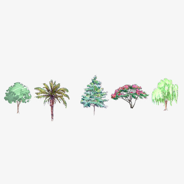 水彩手绘茂盛的树叶免抠