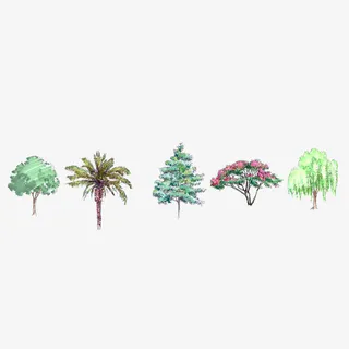 水彩手绘茂盛的树叶免抠